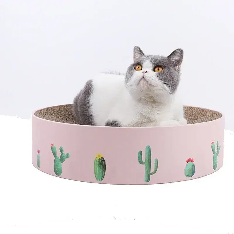 Round Cactus Scratcher