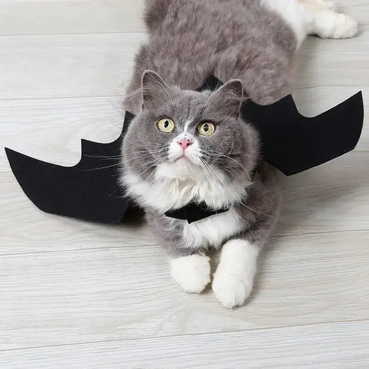 Halloween Cat Costume Small Pet Wings