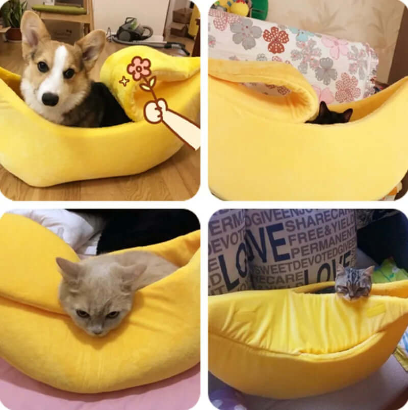 Banana Cat Bed