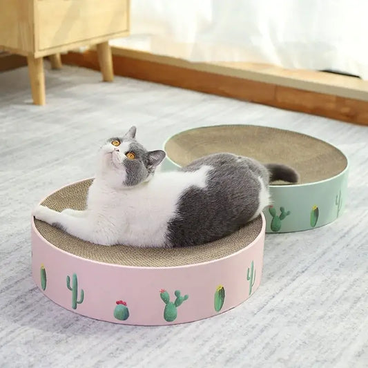 Round Cactus Scratcher