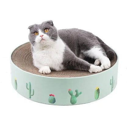 Round Cactus Scratcher