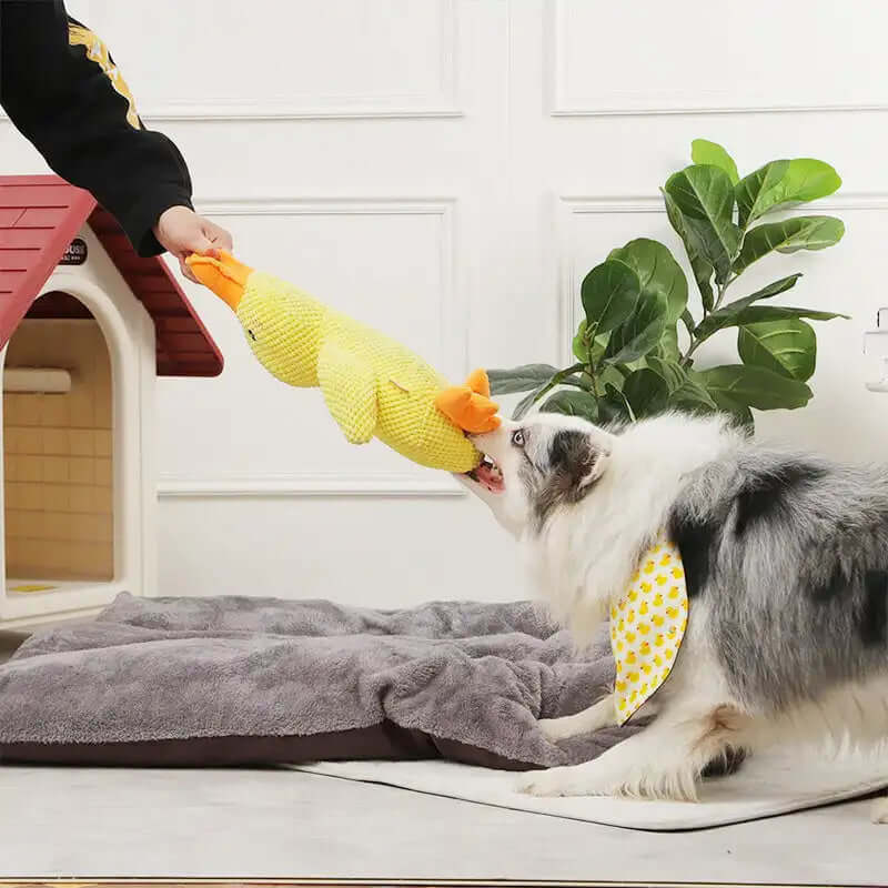 High Quality Durable Dog Chew Toy Duck