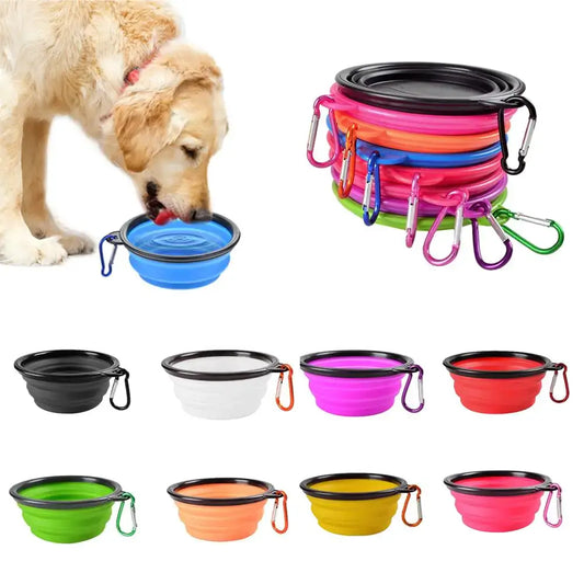 Vibrant Collapsible Pet Bowl Duo - Food & Water on the Go