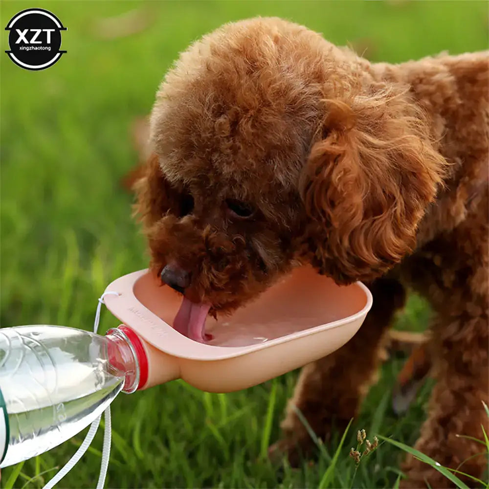 Outdoor Pet Water Bottle Bowl