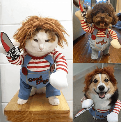 Chucky Dog Costume