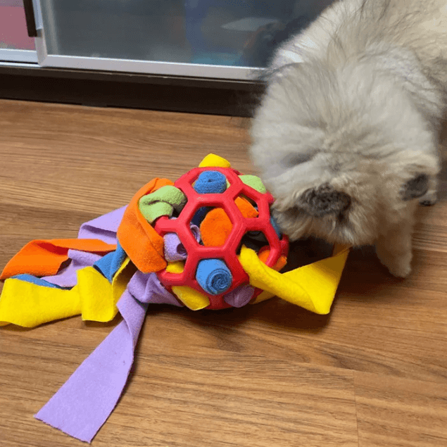 Dog Snuffle Ball - Snacks & Snuffles at the same time