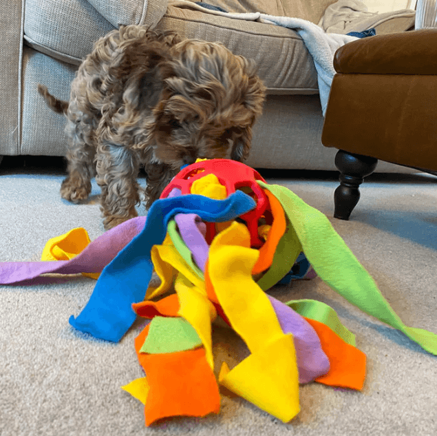 Dog Snuffle Ball - Snacks & Snuffles at the same time