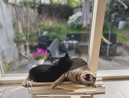 Sunny Window Cat Hammock Bed