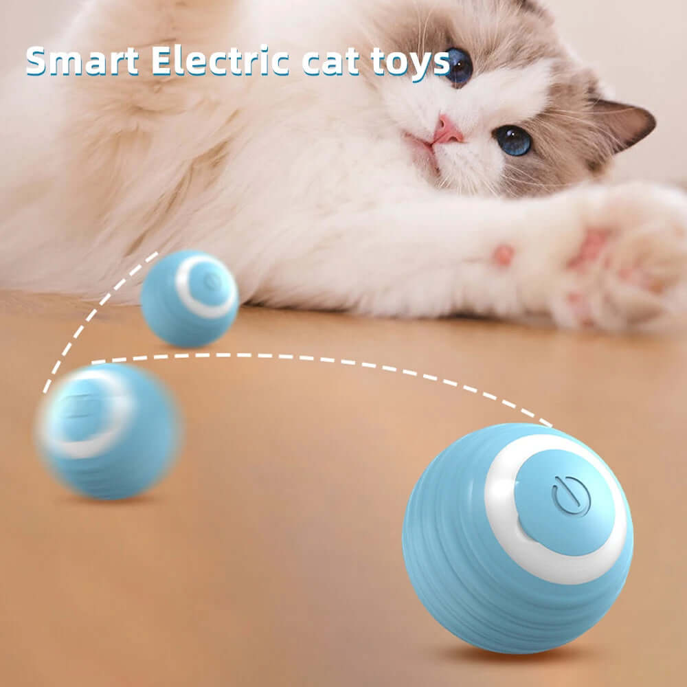 Electric Cat Ball Toys