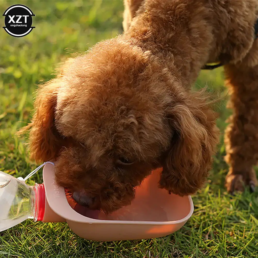 Outdoor Pet Water Bottle Bowl