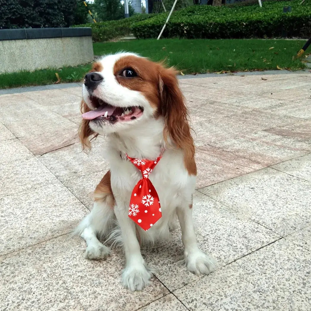 Christmas Dog Tie