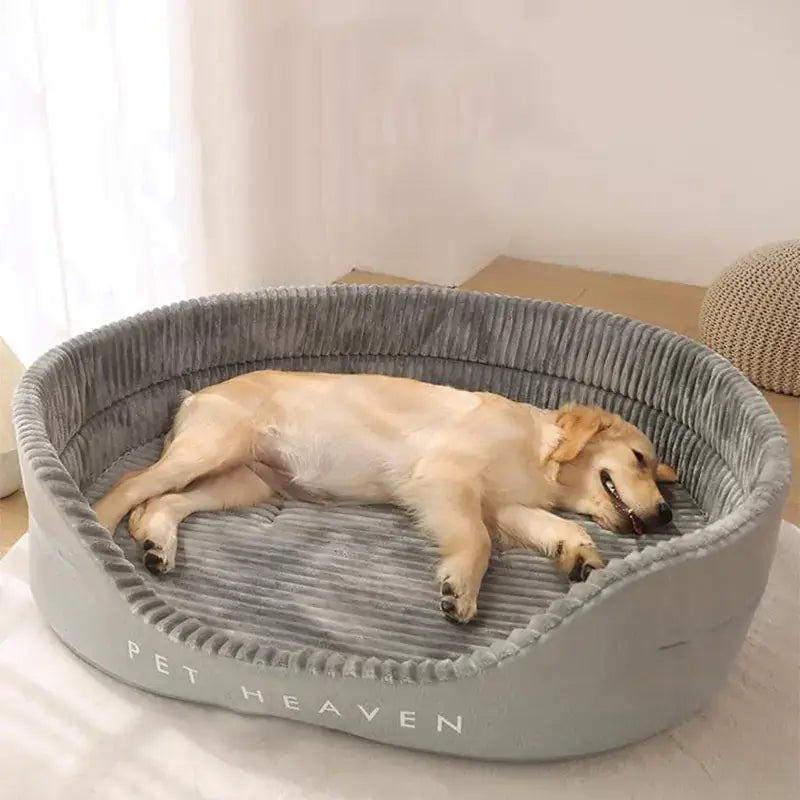 Luxurious Joint Supportive Cat Dog Bed