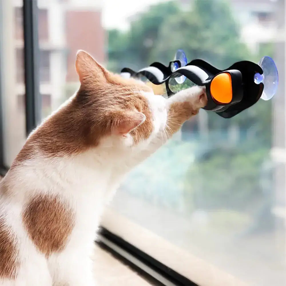 Window Cat Ball Toy